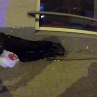 Video: Āgenskalnā aiztur žvingulī uz ielas dusošu bruņotu apsargu