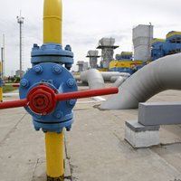 'Latvenergo' vadītājs nākamajos mēnešos prognozē dabasgāzes cenas kritumu