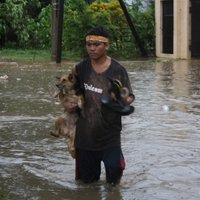 Taifūna ‘Bopha’ upuru skaits Filipīnās pārsniedz 300