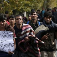 Приток мигрантов в Европу резко сократился
