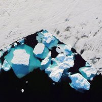 В Арктике найдены вирусы-гиганты. Они могут замедлить таяние льдов