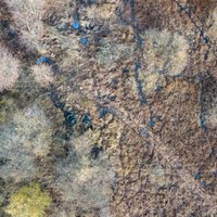 Foto: Peldlīdzekļu mulāžas no riepām – Papes dabas parks pēc sakopšanas talkām