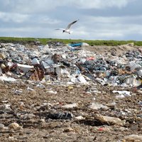 Rīgā visu atkritumu apsaimniekošanu plāno uzticēt pašvaldības kopuzņēmumam