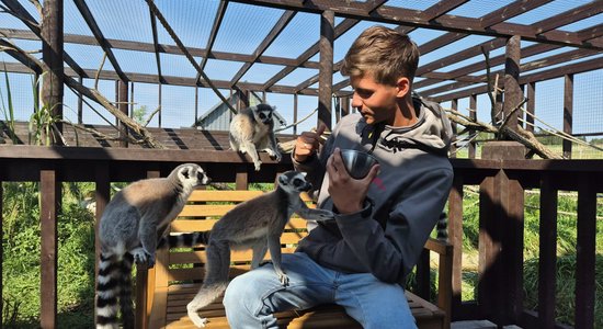 "Uz manu istabu ciemiņus veda kā uz zoodārzu." Daniels par savu zoodārzu Siguldā 