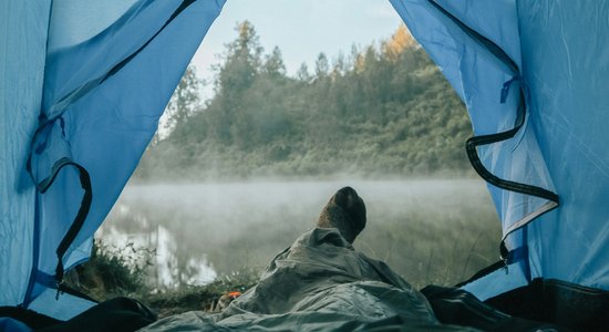 Это чудо-средство от комаров удивительно эффективно! Но есть нюанс…