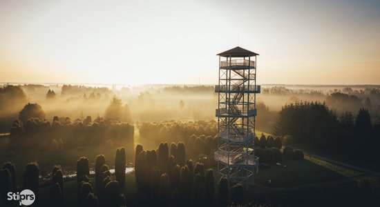 Foto: Miglas vālos ieskautais Kalsnavas arborētums no putna lidojuma