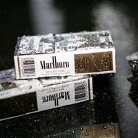 Борданс подозревает, что нелегальную торговлю сигаретами прикрывают "на высоком уровне"