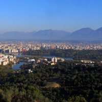 Albānijā uz desmit gadiem aizliedz mežu izciršanu