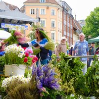 Foto: Labumi un atradumi Doma laukuma Zāļu tirdziņā