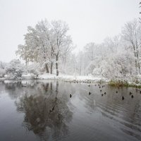 Latvija tinas sniega segā: lasītāji iemūžina skaistos skatus