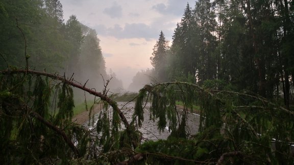 Negaiss Kurzemē nolauzis kokus uz Ventspils šosejas - 2