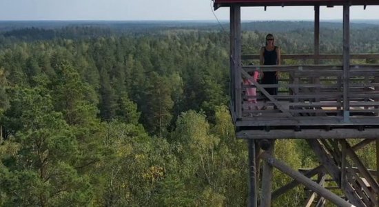 Video: Ogres dabas parka koku galotnēs veidos pastaigu taku