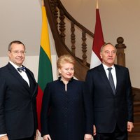 Grībauskaite: Visaginas AES projekta liktenis būs atkarīgs no Lietuvas valdības