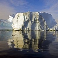 К Новой Зеландии приближается около 100 айсбергов