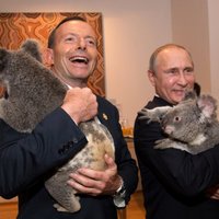 Foto: Kā Obama un Putins pirms samita Austrālijā apmīļoja koalas