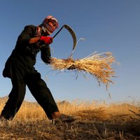 ООН: Афганистан на пороге голода