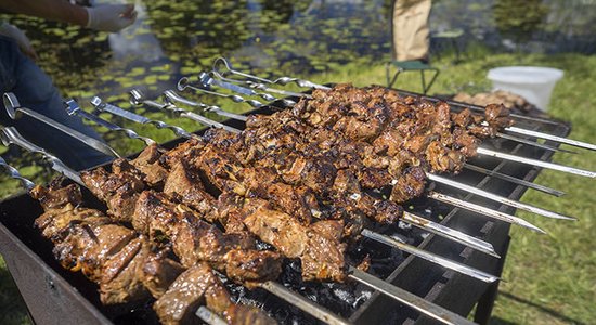 Sulīgs stirnu buka šašliks ar kadiķogām