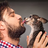 Kāpēc saimniekiem nevajadzētu bučot savus suņus