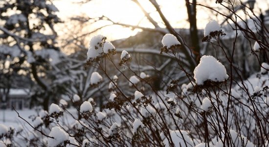 Latvijas iedvesmota grāmata saņem Japānas dzejas balvu