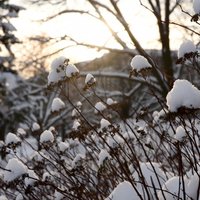 В Руйиене побит рекорд холодов 1940 года; днем в пятницу Латвии грозит до -31 градуса мороза