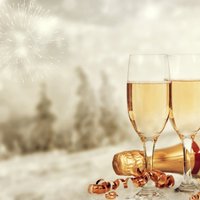 Опрос: 47% жителей Латвии планируют потратить на празднование Нового года до 40 евро