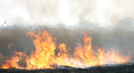 Ugunskuriem pārtopot kūlas ugunsgrēkā, bojā gājis viens cilvēks