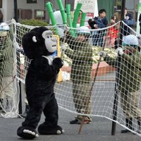 Tokijas Zoo ķer par gorillu pārģērbtu darbinieku
