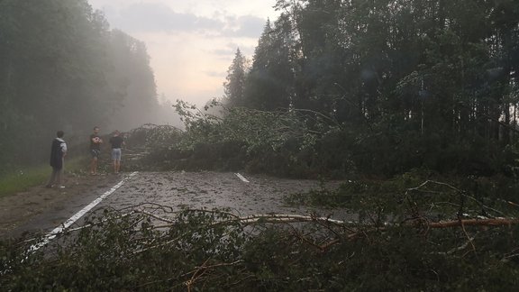 Negaiss Kurzemē nolauzis kokus uz Ventspils šosejas - 3