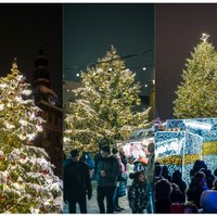 Aptauja: kur šogad skaistākā svētku egle – Rīgā, Tallinā vai Viļņā?