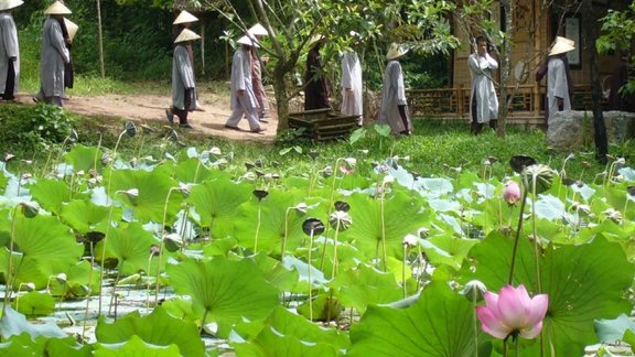 labu kadru nokeru