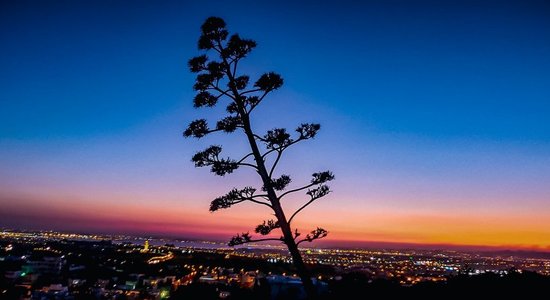 Maģiskā Tunisija: ko darīt, ko ēst un ko apskatīt