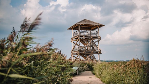 tūrisms,skatu tornis,putnu vērošanas tornis,sedas purvs