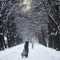 Sadursmē ar sniega motociklu Jūrmalā cieš meitene