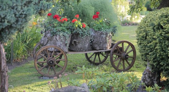 Jelgavas dārzu pērles – sakoptākie īpašumi šajā gadā