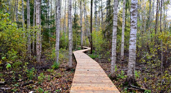 10 чудесных природных троп для весенней прогулки