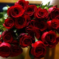 Naktī uz Sieviešu dienu ziedu kioskā Ulbrokā nozog visas rozes