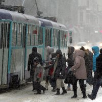 'Rīgas satiksme' 'kapu tramvaja' likteni lems pēc starptautiska audita