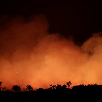 Бразилию застилает дым от горящих лесов Амазонии. В Сан-Паулу день превратился в ночь