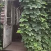Video: Ielūkojamies pamestajā mājā, kur tika turēts suns, kas Juglā sakoda saimnieci