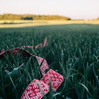 Sensenos laikos jāņabērnus gaidīja tikai tur, kur bija meitas precību vecumā