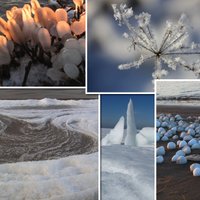 Foto: 'Mošķīši', 'ledus koraļļi', 'cīsiņš' – aculieciniekus aizrauj dabas meistarstiķi