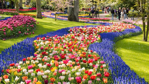 Keukenhofas dārzs, Keukenhofas ziedu dārzs, Keukenhof Gardens,  Garden of Europe