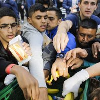 Австрия обещает закрыть границу для беженцев