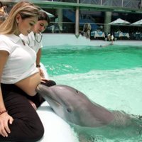 Mēneša laikā akcijā saziedo līdzekļus trīs bērnu ārstēšanai ar delfīnterapiju