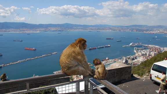 Ceļojumu konkurss, Gibraltārs