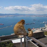 Гибралтар тоже хочет на мундиаль