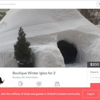 Jaunieši Ņujorkā uzceļ sniega iglu un piedāvā to izīrēt 'Airbnb' par 200 dolāriem
