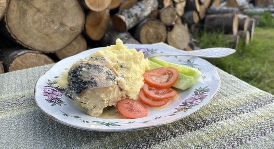 Saldkrējuma līdaka ar puraviem. Talcinieki būs sajūsmā