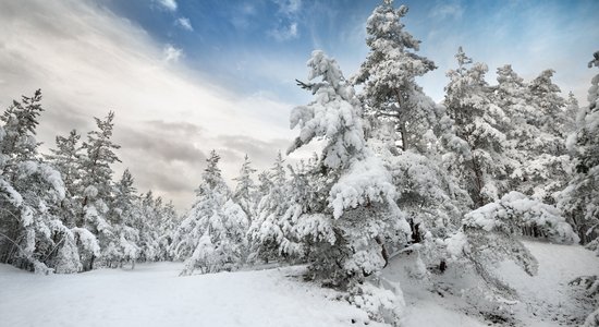 Ziemas pasaka Gaujas nacionālajā parkā: kur pabūt un ko izbaudīt