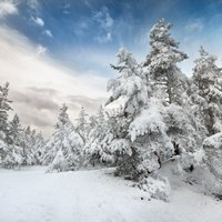 Зима в Национальном парке Гауя: Топ-6 разнообразных занятий